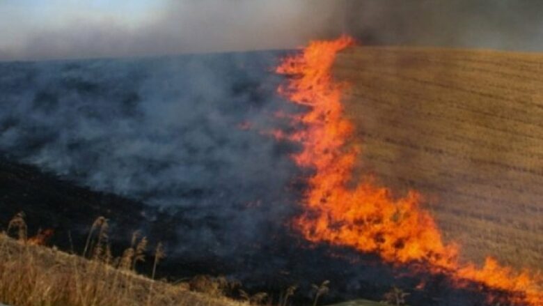 Pronarët që djegin arat, mund të ndëshkohen në mosdhënie të subvencioneve