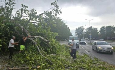 Erë e fortë në Shkup, rrëzohen pemë dhe dëmtohen disa shtëpi