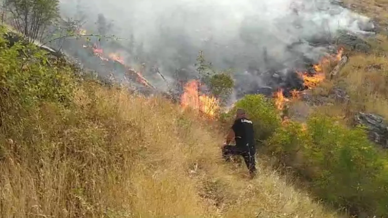 Zjarr në Gjirokastër gjatë gjithë natës – zjarrfikësit në luftë për shuarjen e flakëve