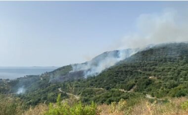 Zjarr i madh në kodrat e fshatit Radhimë, digjen ullinj dhe pemtari