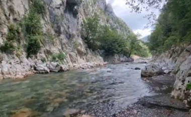 Mati thesar i bimëve endemike, botanistët vënë në dukje pasurinë e zonës me bimë të rralla