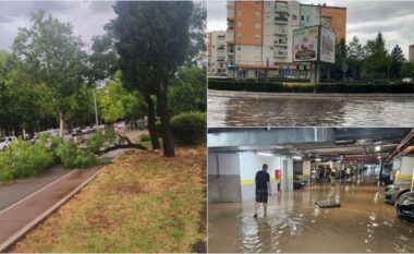 Përmbytje në rrugë, erëra të stuhishme, pemë të rrëzuara - detaje dhe pamje nga disa pjesë të Malit të Zi