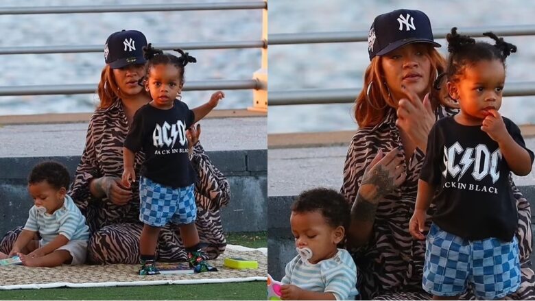 Rihanna shfaqet në një piknik familjar, me djemtë RZA dhe Riot Rose