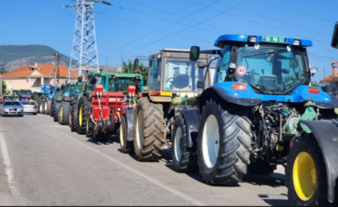 Mungesa e tregut për prodhime bujqësore, fermerët protestë në Maliq
