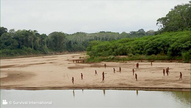 Pamje e rrallë e një “fisi të pakontaktuar” që dalin nga pylli tropikal i Amazonës – pasi po përballen me një “katastrofë humanitare”