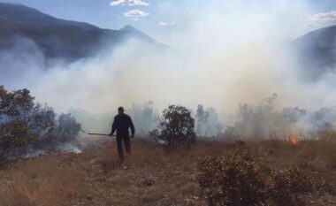 Zjarret rrezikojnë Gjirokastrën, ndërhyjnë zjarrfikësit dhe ushtria