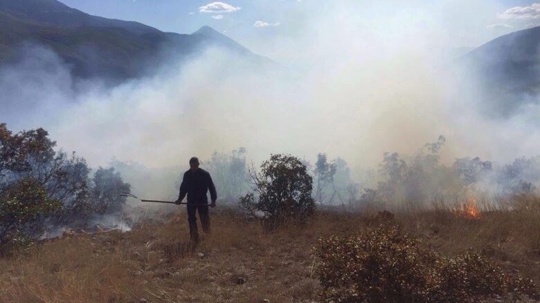 Zjarret rrezikojnë Gjirokastrën, ndërhyjnë zjarrfikësit dhe ushtria