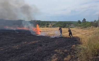 Zjarr në Klinë, arat e djegura rrezikojnë banorët e Gllarevës