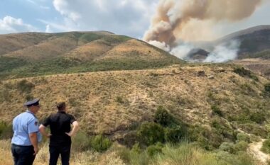 Peleshi: 7 vatra zjarri aktive në Shqipëri