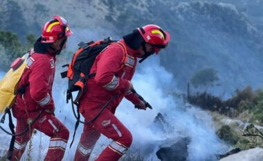 Shuhet zjarri në Qafën e Llogorasë, Peleshi: Piromanët, përballje të rreptë me ligjin