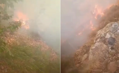 Zjarr i përmasave të mëdha pranë Elbasanit, zjarrfikësit dhe ushtria vihen në vendngjarje për shuarjen e flakëve