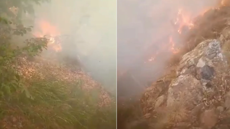 Zjarr i përmasave të mëdha pranë Elbasanit, zjarrfikësit dhe ushtria vihen në vendngjarje për shuarjen e flakëve