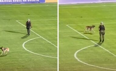 Qeni i policisë boshnjake hyri në fushë dhe ndërpreu ndeshjen e futbollit