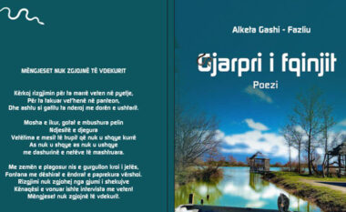 “Gjarpri i fqinjit”: Edhe një prurje e re letrare në dritën e fuqisë shpirtërore