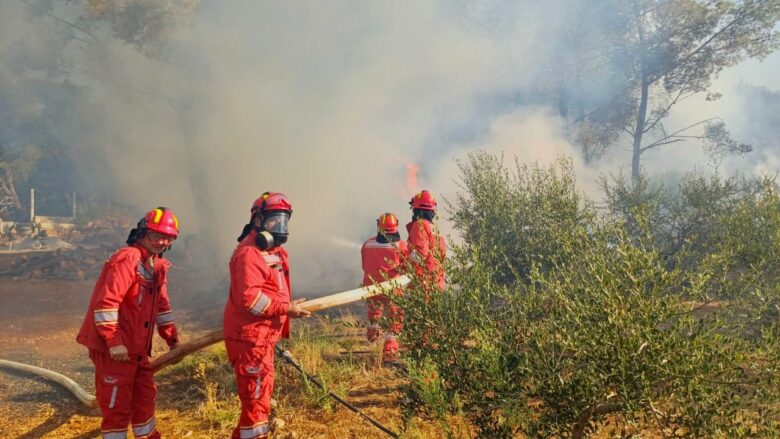 Shqipëria nuk po gjen qetësinë, 12 vatra të zjarrit aktive në Mallakastër