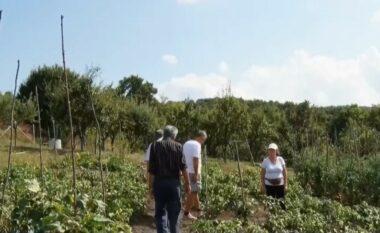 Investimet vetanake ndryshojnë Gollakun