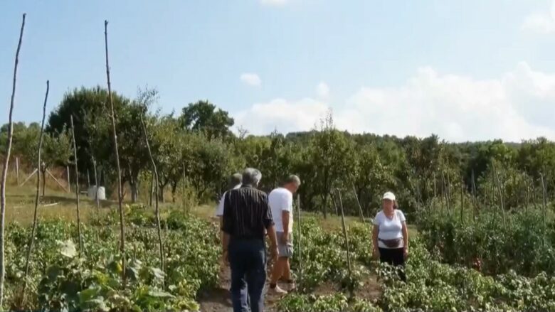 Investimet vetanake ndryshojnë Gollakun