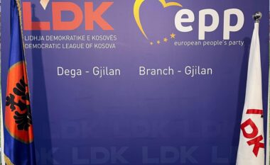 LDK në Gjilan: Votimi për ndarjen e mjeteve për kategoritë në nevojë u mundua të pengohet nga VV-ja