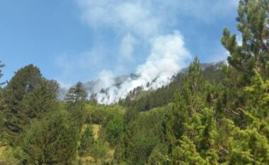 Gjendje e rënduar nga zjarret pyjore në Parkun Kombëtar “Sharri”, kërkohet ndihma e KFOR-it