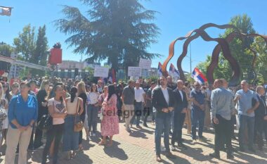 Policia jep detaje për protestën në veri të Mitrovicës