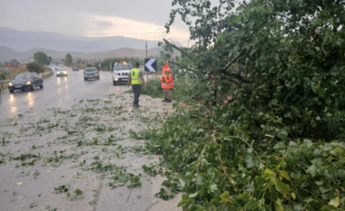 Stuhi e fortë në aksin Pogradec-Maliq, era shkul pemët nga vendi