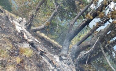 Drejtoria e Emergjencave në Prizren apelon për shmangien e veprimeve që mund të shkaktojnë zjarre