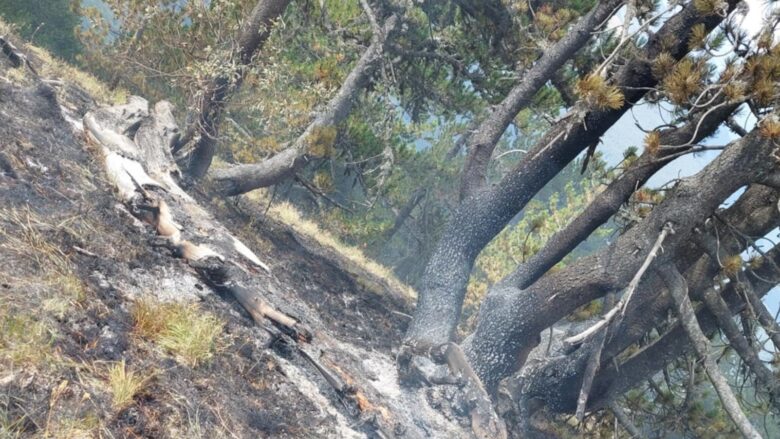 Drejtoria e Emergjencave në Prizren apelon për shmangien e veprimeve që mund të shkaktojnë zjarre