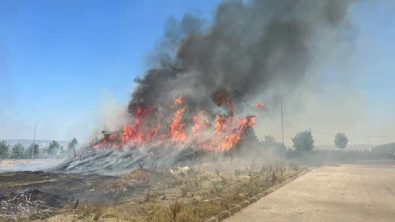 Flakët kaplojnë edhe  Parkun e Biznesit në Prizren, LDK-ja fajëson Komunën