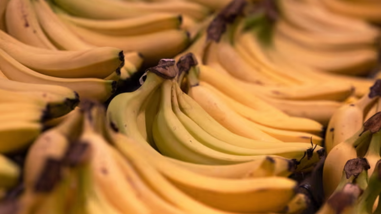 Gjenden mbi 40 kilogramë kokainë në dërgesat e bananeve në marketet franceze