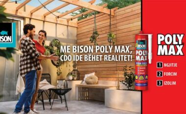 Bëni idetë tuaja realitet me Bison Poly Max