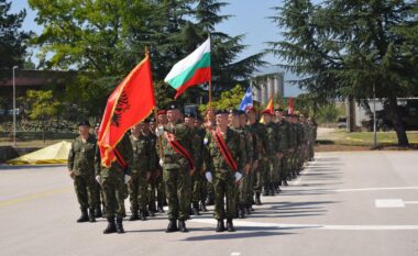 Vengu: Shqipëria me pjesëmarrje aktive në Brigadën e Evropës Juglindore