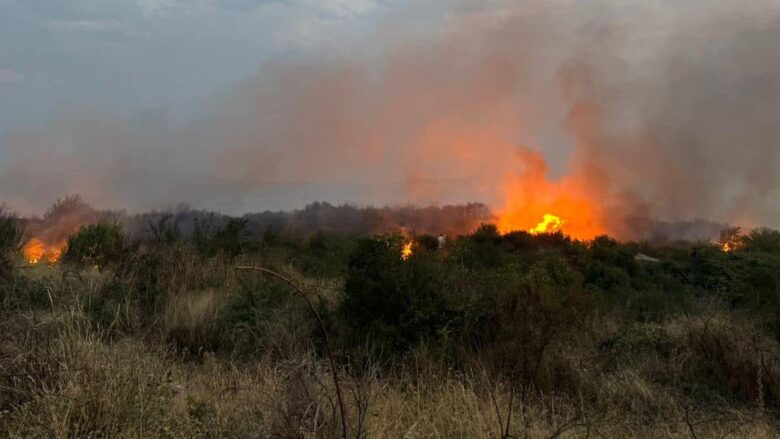 Malet në Mitrovicë përfshihen nga zjarri, zjarrfikësit dalin në terren