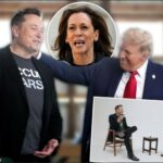 Musk i thotë gazetarit se e ka punën “m** nëse Trump humb zgjedhjet”