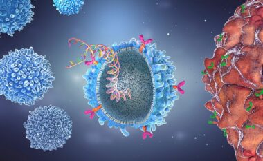 CAR-T, një trajtim inovativ për kancerin dhe një opsion për ata që nuk reagojnë ndaj dy ose më shumë trajtimeve të kancerit