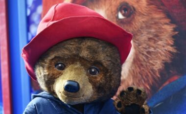 Qeveria britanike lëshon pasaportë zyrtare për Paddington Bear