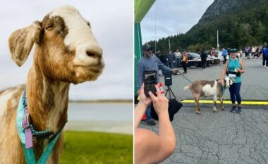 Dhia vendosi të merrte pjesë në një maratonë dhe largohet me një medalje