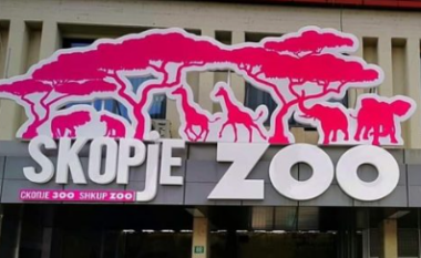 Kopshti Zoologjik-Shkup: Në tri vitet e fundit kanë lindur 73 kafshë të reja, kanë ngordhur 25