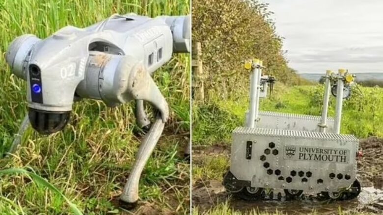 Britanikët krijojnë “robotin, si një qen delesh” – me një kamerë për të vëzhguar zonën ku veprojnë fermerët