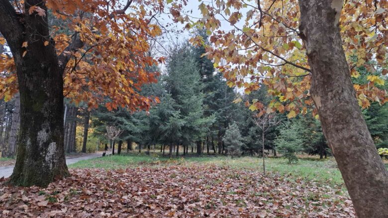 Peja destinacioni i duhur për të vizituar në stinën e vjeshtës