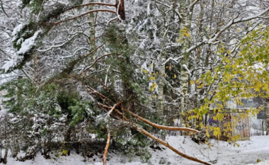 Për herë të parë, Finlanda goditet nga erërat me forcë uragani të cilat përkojnë me reshje bore