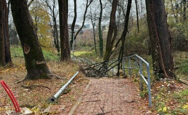 Stuhia ne Peje, Drejtori i Emergjencave: Nuk ka deme te medha