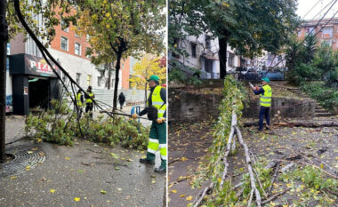 Era e fortë rrëzon disa pemë në Tiranë, Veliaj apel qytetarëve: Shmangni lëvizjet e panevojshme