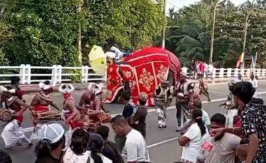 Elefanti e godet me hundë dhe më pas e shtyp burrin në festivalin tradicional në Shri Lankë