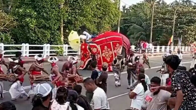 Elefanti e godet me hundë dhe më pas e shtyp burrin në festivalin tradicional në Shri Lankë