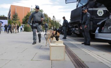 Arrestohet një person në Prishtinë – policia me ndihmën e njësisë K-9 i gjetën në veturë 29 qese kokainë dhe një armë