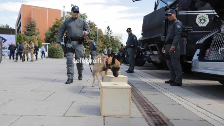 Arrestohet një person në Prishtinë – policia me ndihmën e njësisë K-9 i gjetën në veturë 29 qese kokainë dhe një armë