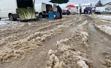 “Gjendje e mjerueshme te tregu i gjelbër” – qytetarët ankohen dhe kërkojnë ndërhyrje urgjente