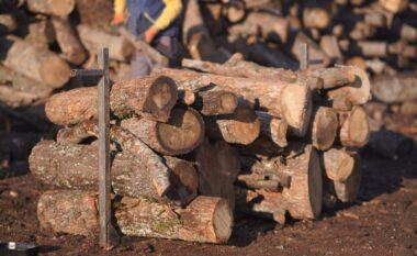 Komuna e Prizrenit shpërndanë dru për ngrohje për kategoritë sociale