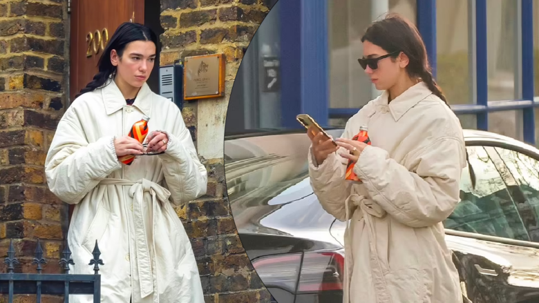 Dua Lipa tregon unazën e fejesës pas propozimit romantik nga Callum Turner