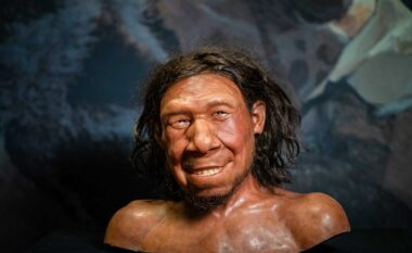 Ndërthurja e Homo sapiens me Neandertalët ndodhi më vonë se sa mendohej më parë